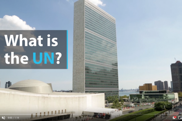 Video: What is the UN?